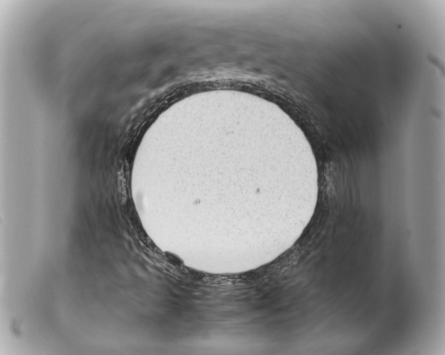 X0000099311493200805301143