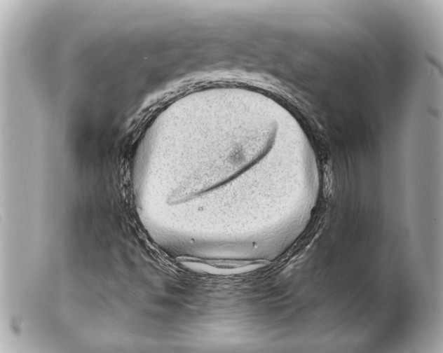 X0000099311494200805301143