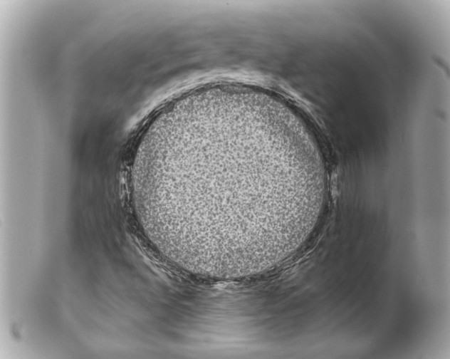 X0000099311496200805301143