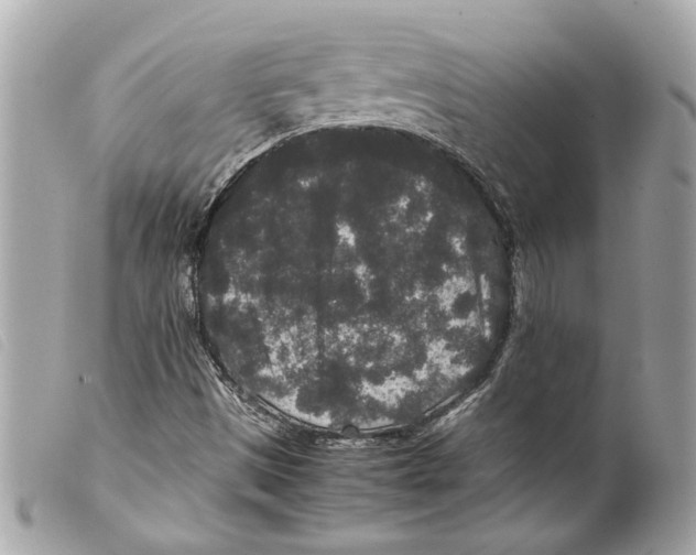 X0000099311497200805301143