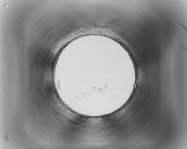 X0000099311498200805301143