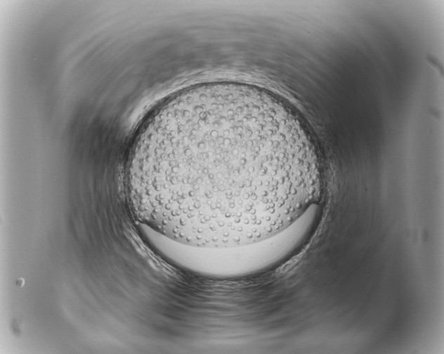 X0000099311499200805301143