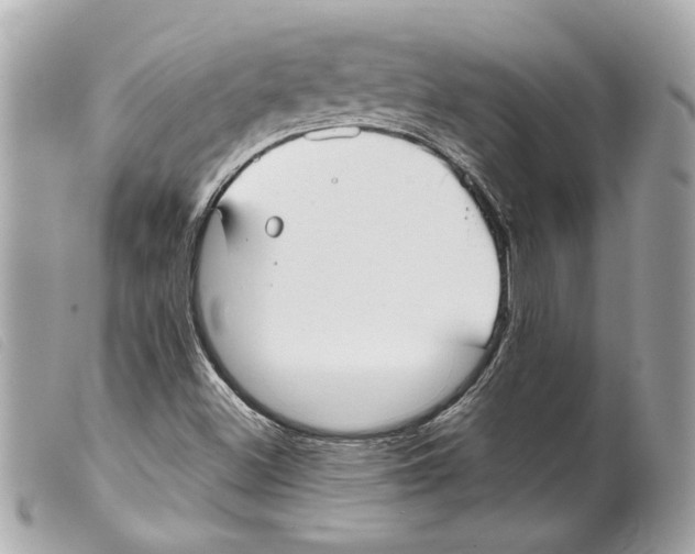 X0000099311500200805301143