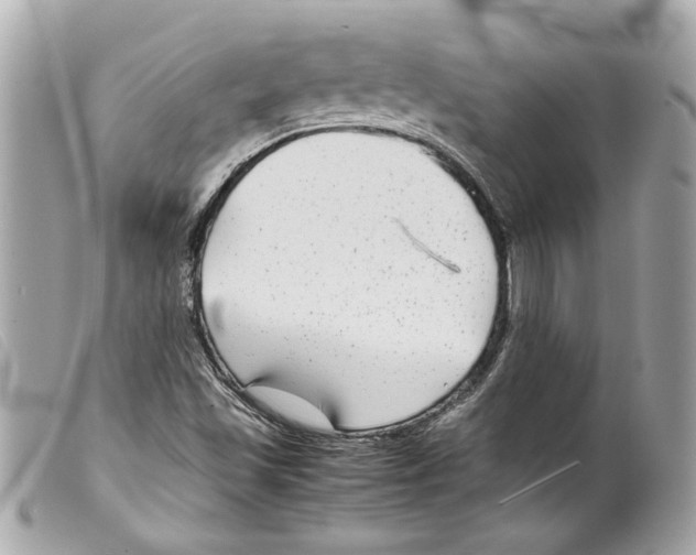 X0000099311501200805301143