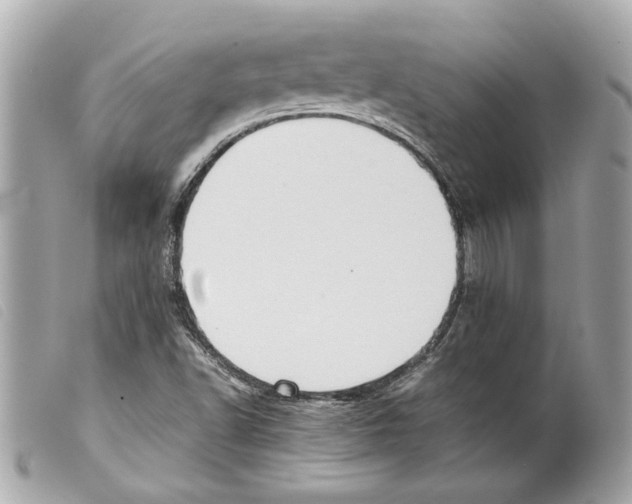 X0000099311502200805301143