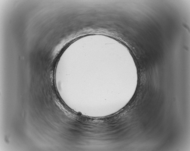 X0000099311503200805301143