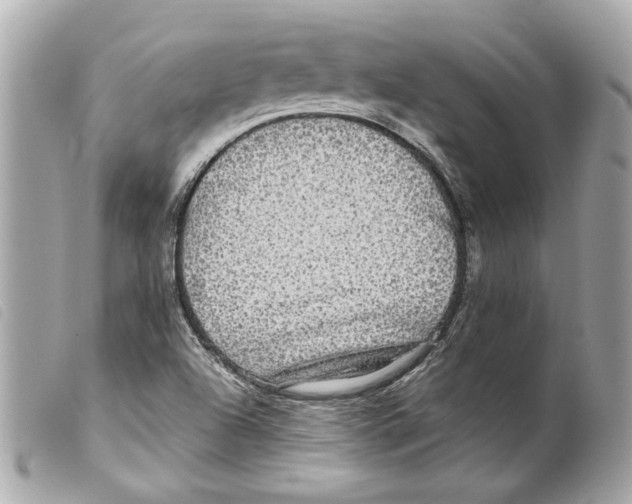 X0000099311504200805301143