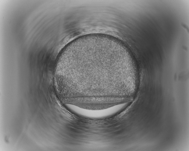 X0000099311505200805301143