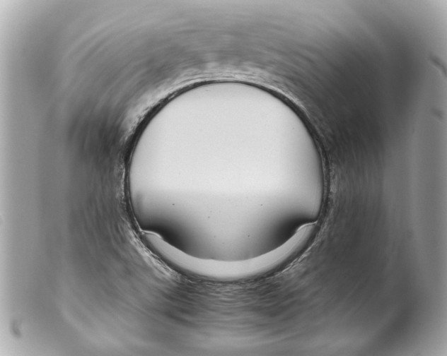 X0000099311507200805301143