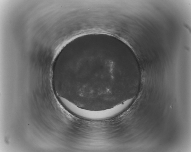 X0000099311508200805301143