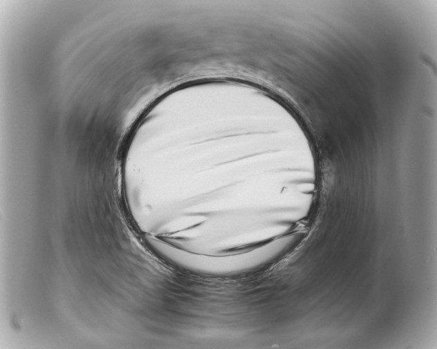 X0000099311509200805301143