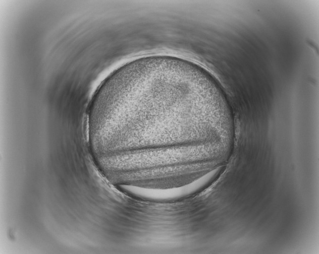 X0000099311510200805301143