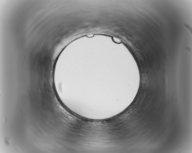 X0000099311512200805301143