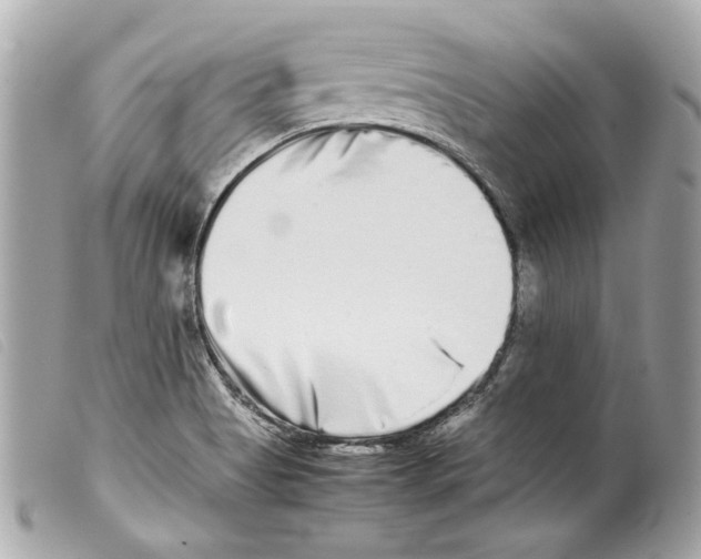 X0000099311513200805301143