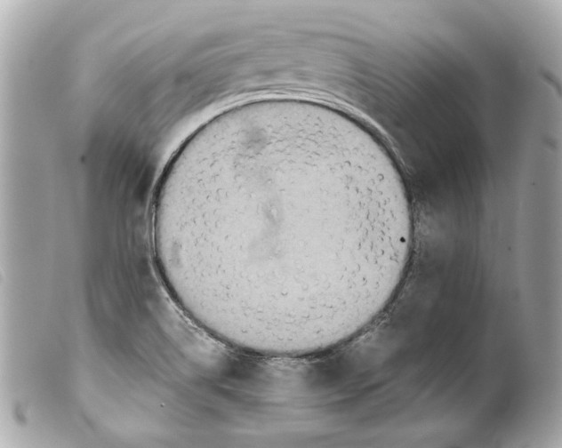 X0000099311514200805301143