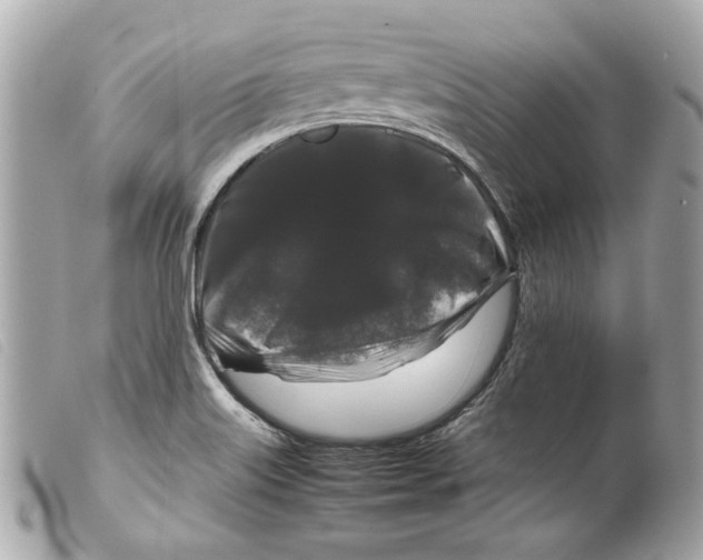 X0000099311515200805301143