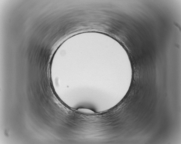 X0000099311516200805301143