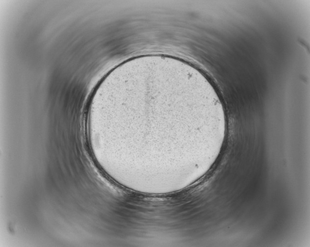 X0000099311517200805301143