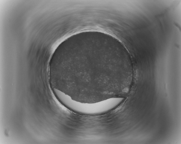 X0000099311519200805301143