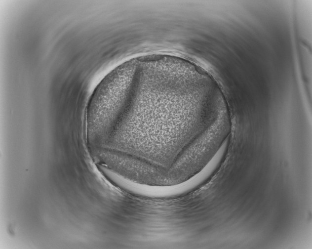 X0000099311520200805301143