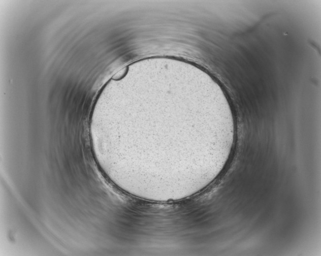 X0000099311521200805301143