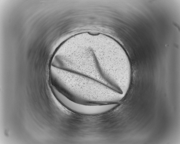 X0000099311523200805301143