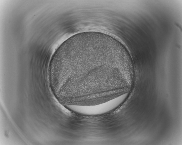 X0000099311525200805301143