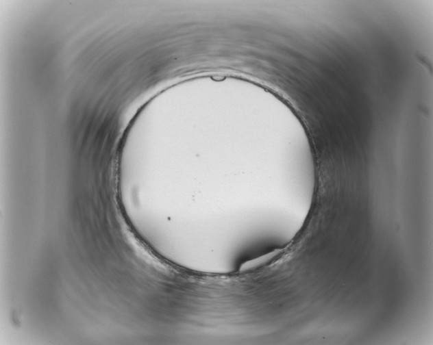 X0000099311526200805301143