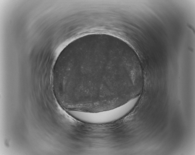 X0000099311527200805301143