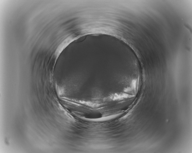 X0000099311529200805301143