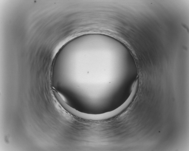 X0000099311530200805301143