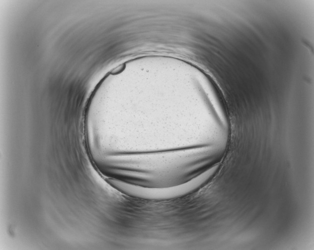 X0000099311531200805301143