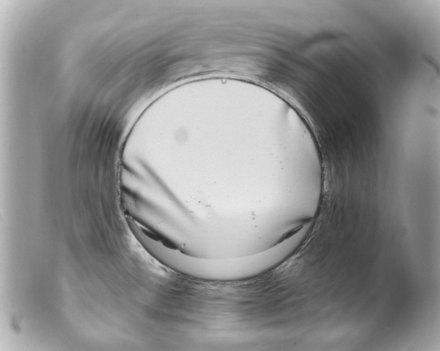 X0000099311532200805301143