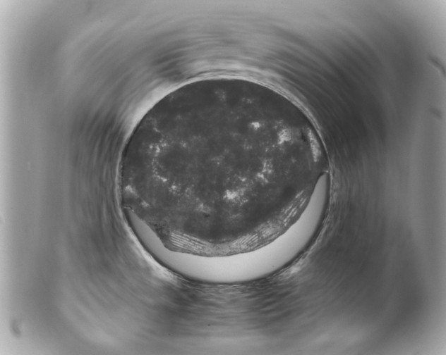 X0000099311533200805301143