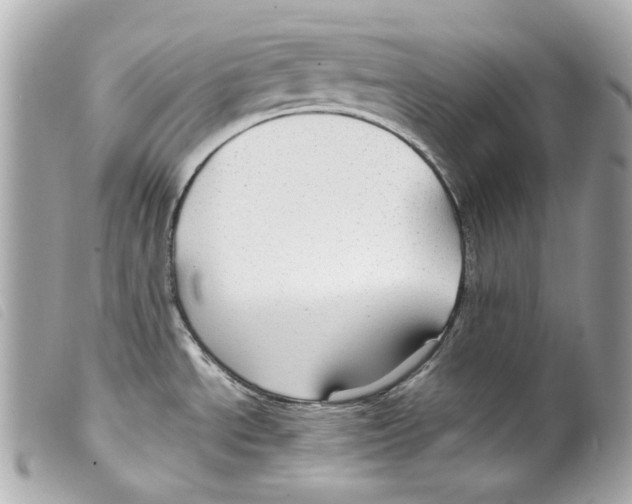 X0000099311534200805301144