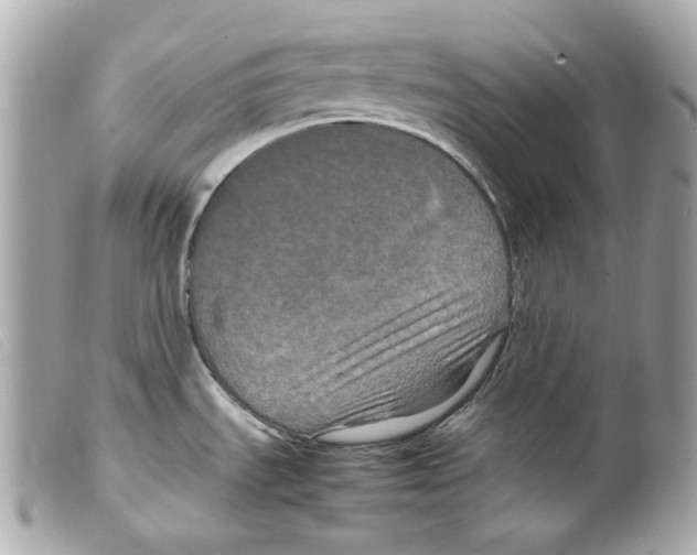 X0000099311535200805301144