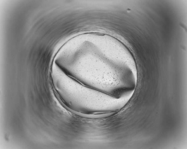 X0000099311536200805301144