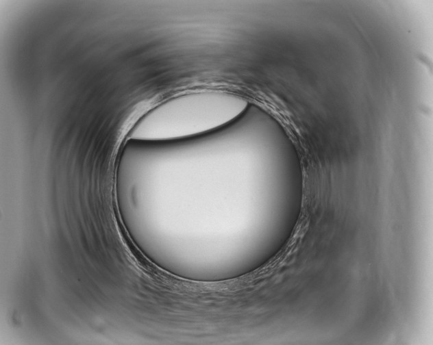 X0000099320003200805020803