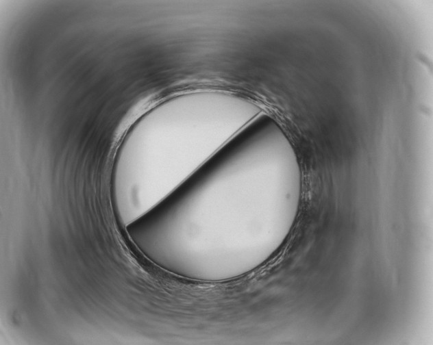 X0000099320004200805020803
