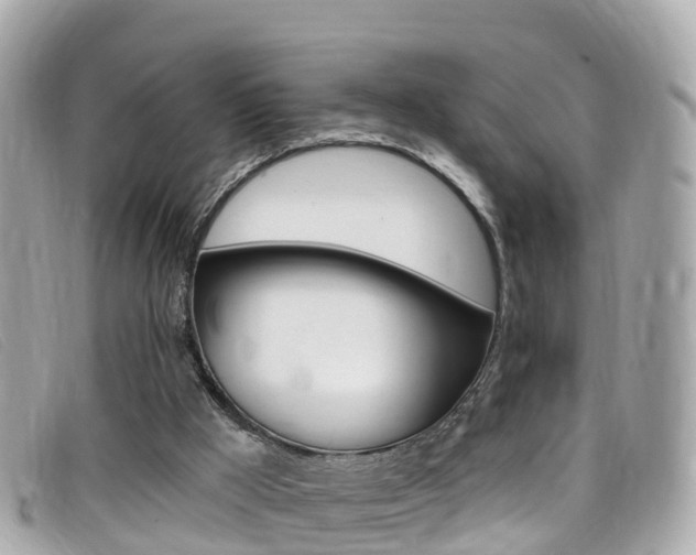 X0000099320009200805020803