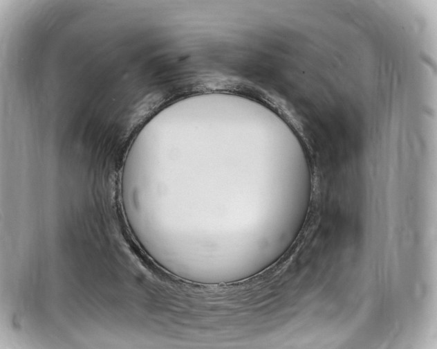 X0000099320010200805020803