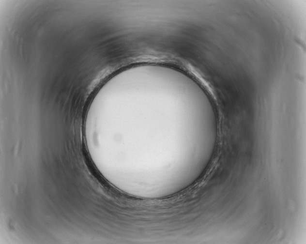 X0000099320011200805020803
