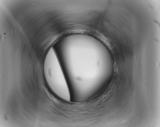 X0000099320013200805020803