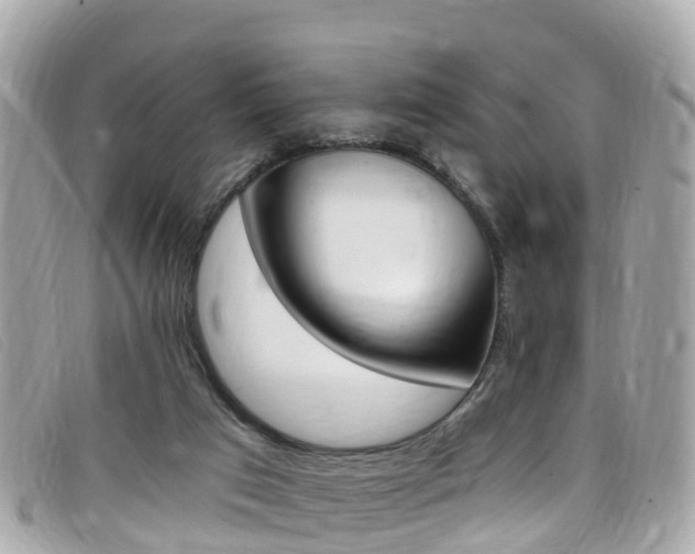 X0000099320017200805020803