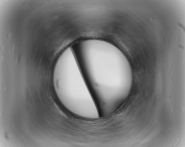 X0000099320020200805020803