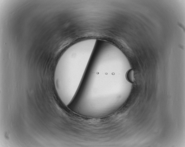 X0000099320024200805020803