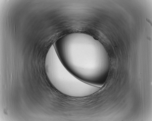 X0000099320029200805020802