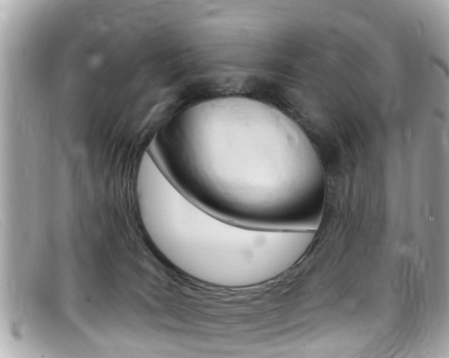 X0000099320035200805020802