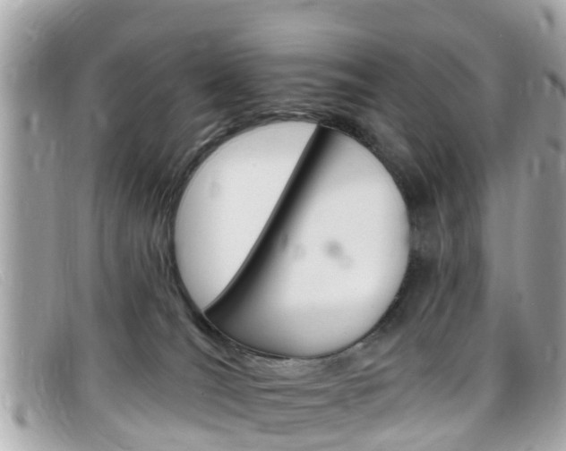 X0000099320036200805020802