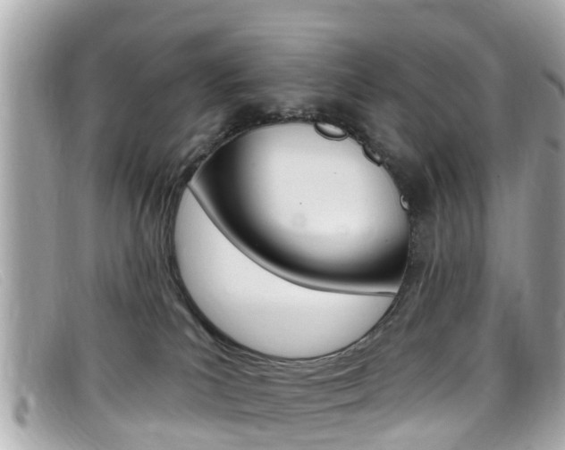 X0000099320039200805020802